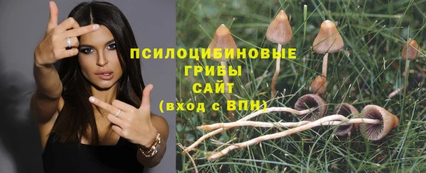jwh Алзамай