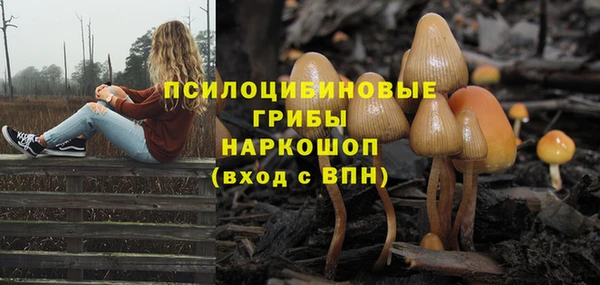 МДПВ Алексеевка